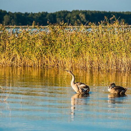 Aparthotel Euforiaport Pisz Bagian luar foto